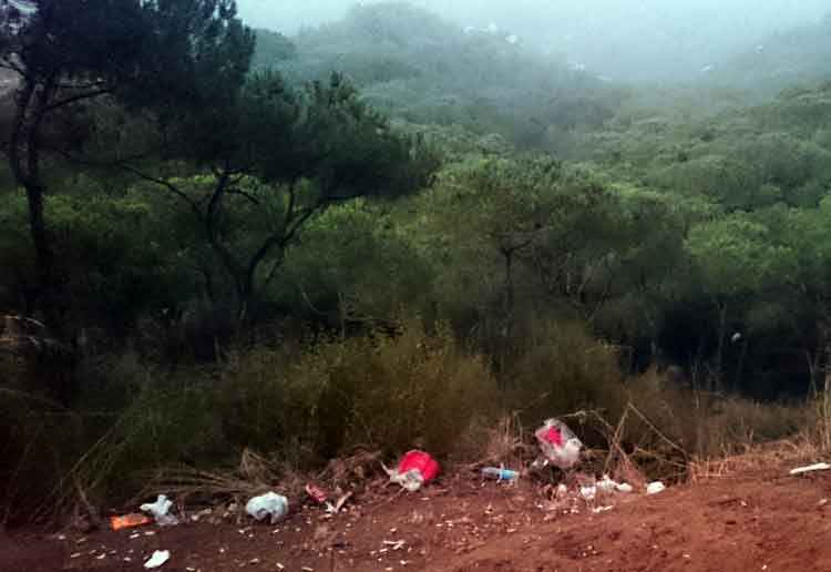 Trash can be found in almost every forest across Lebanon | Source: NewsroomNomad 
