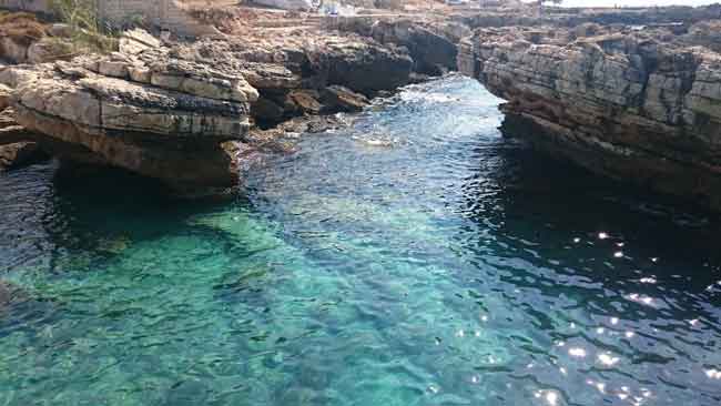 Kfarabida is home to Lebanon's cleanest waters and is renowned for being a marine eco-haven | Source: Newsroom Nomad 